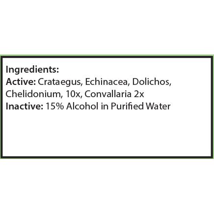 LYMPHATIC VASCULAR DRAINER