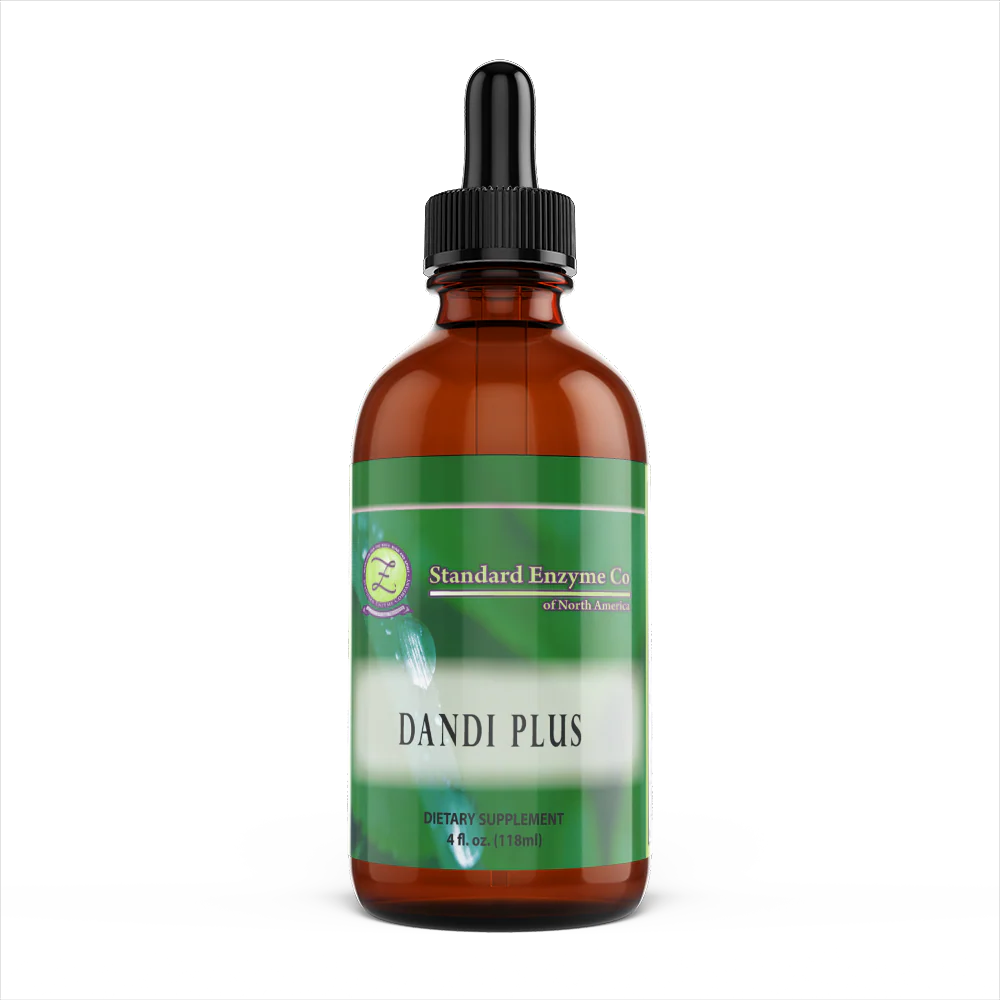 DANDI PLUS