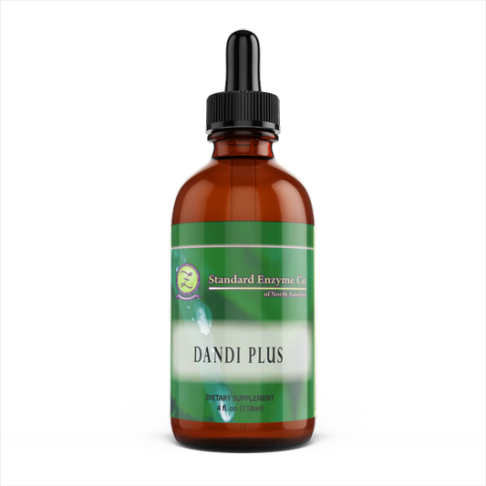 DANDI PLUS