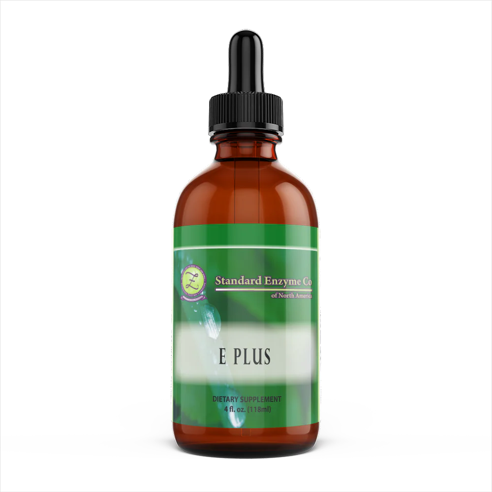 E PLUS