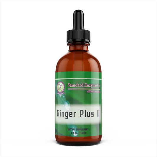 GINGER PLUS II 2 OZ.