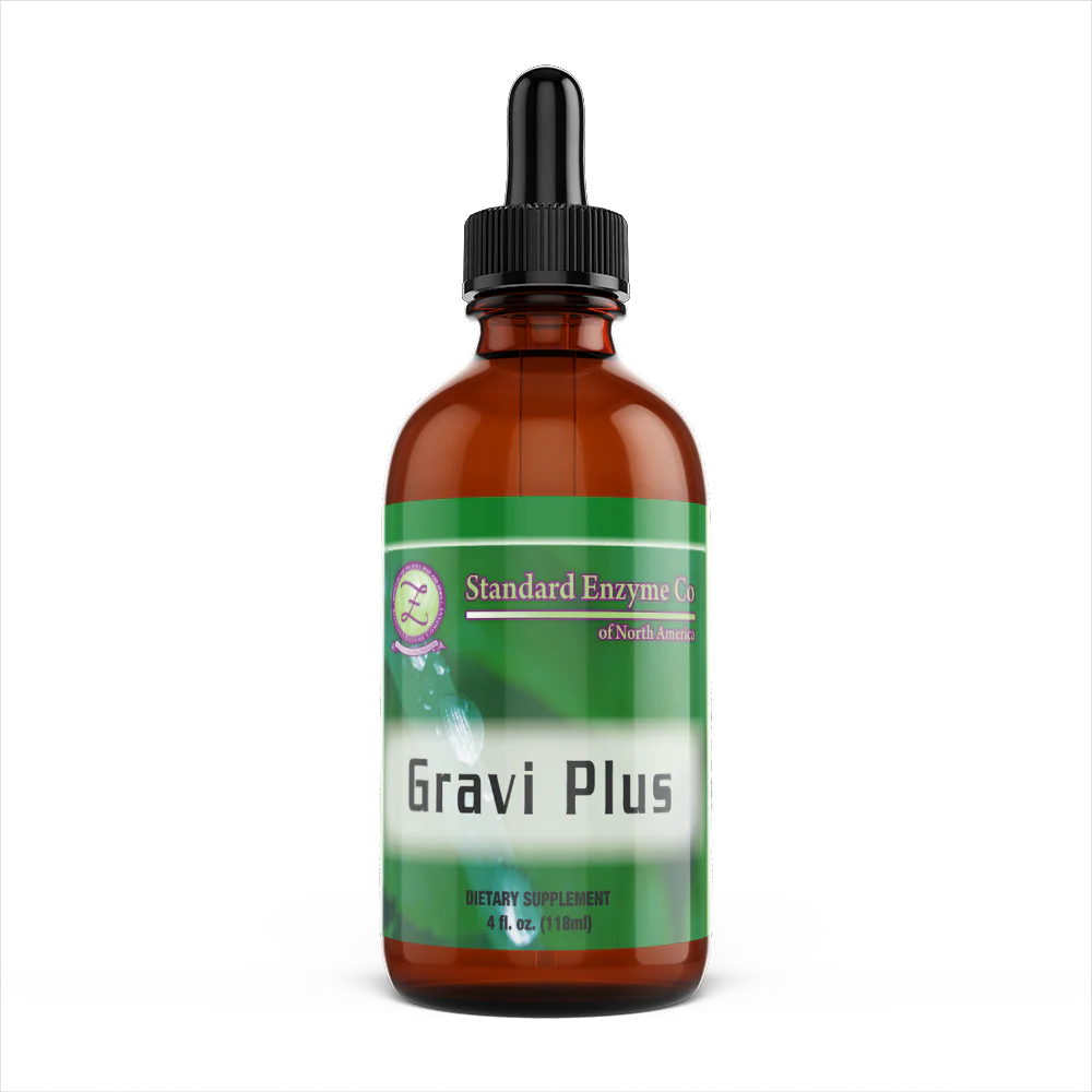 GRAVI PLUS