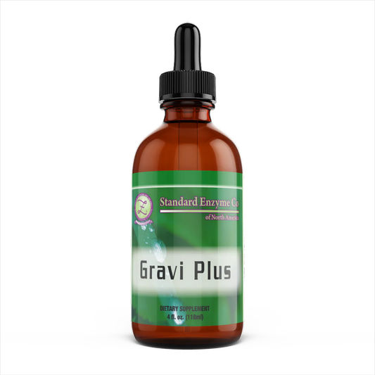 GRAVI PLUS