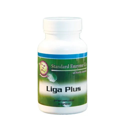 LIGA PLUS
